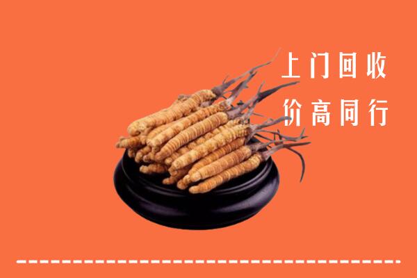 高价求购：通辽市回收散虫草