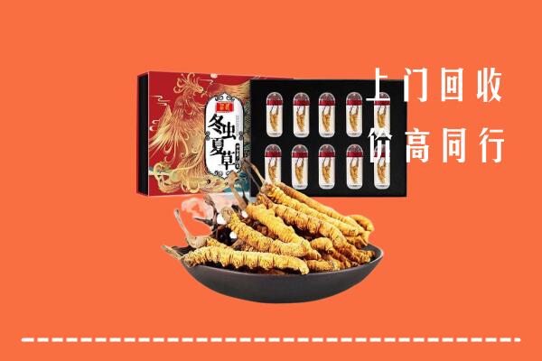 收购行情：通辽市回收虫草